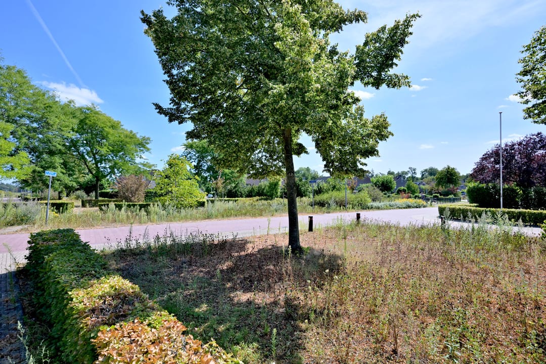 Photo 37 of Dorrewold 22