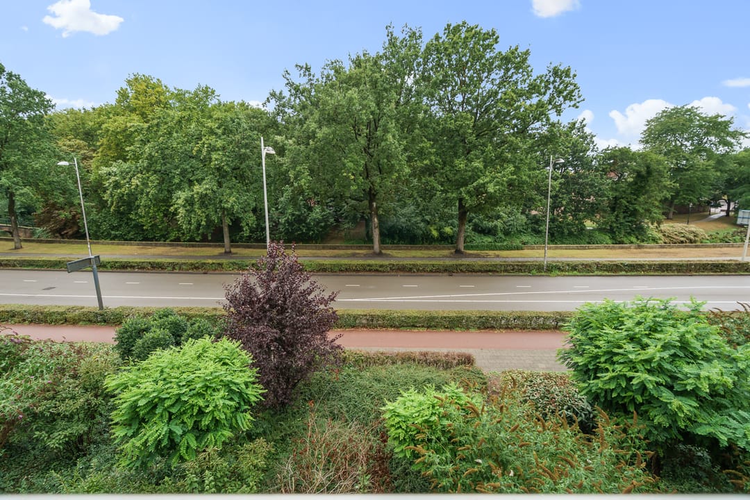 Photo 7 of Hogeweg 17-E