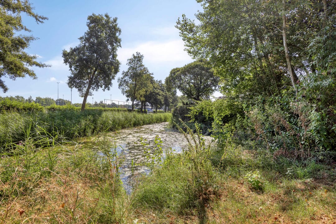 Photo 41 of Lokeren 157
