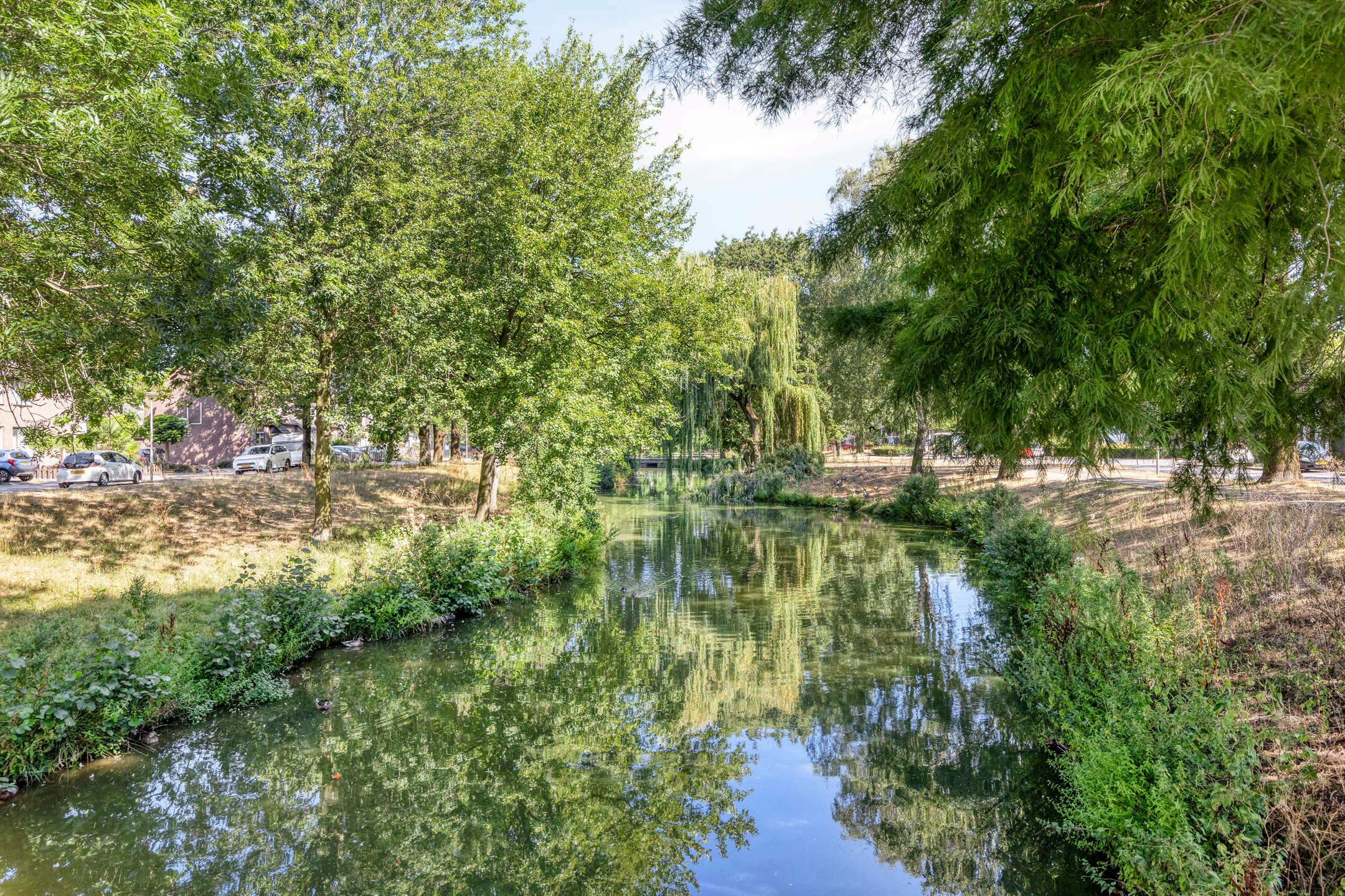 Photo 42 of Lokeren 157