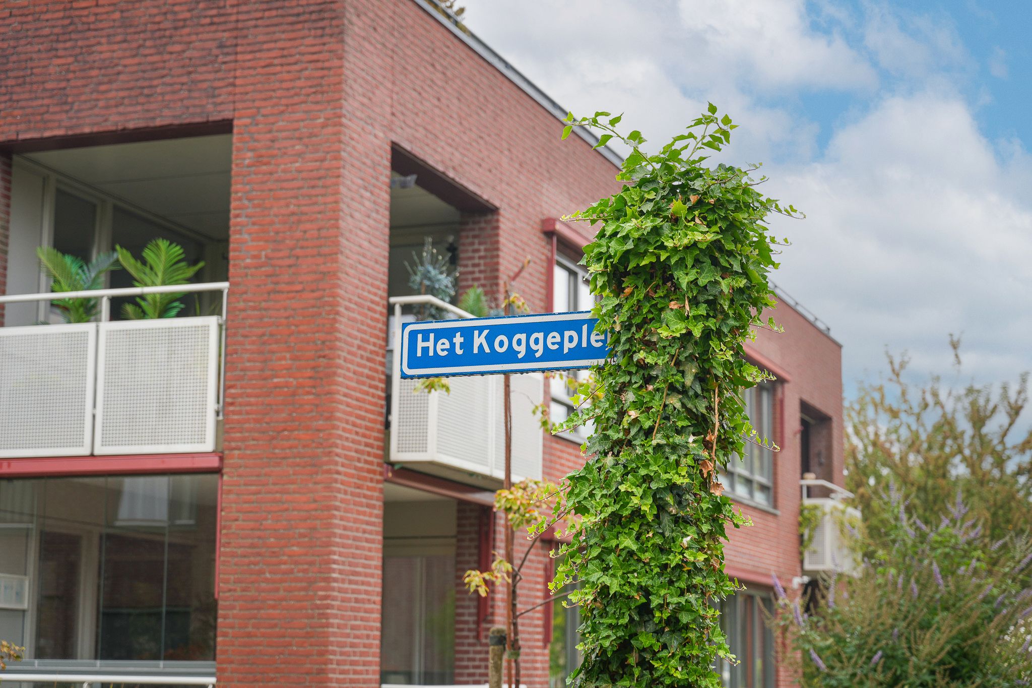 Photo 33 of het Koggeplein 19