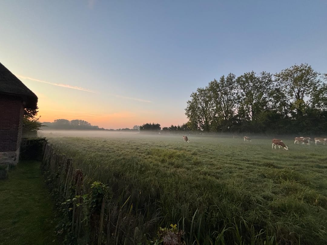 Foto 47 van Dahlialaan 24