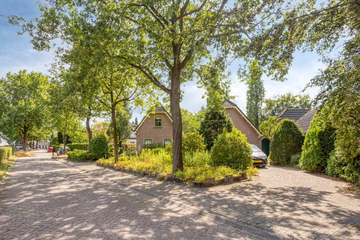 Foto 4 van Zwijnsbergen 5