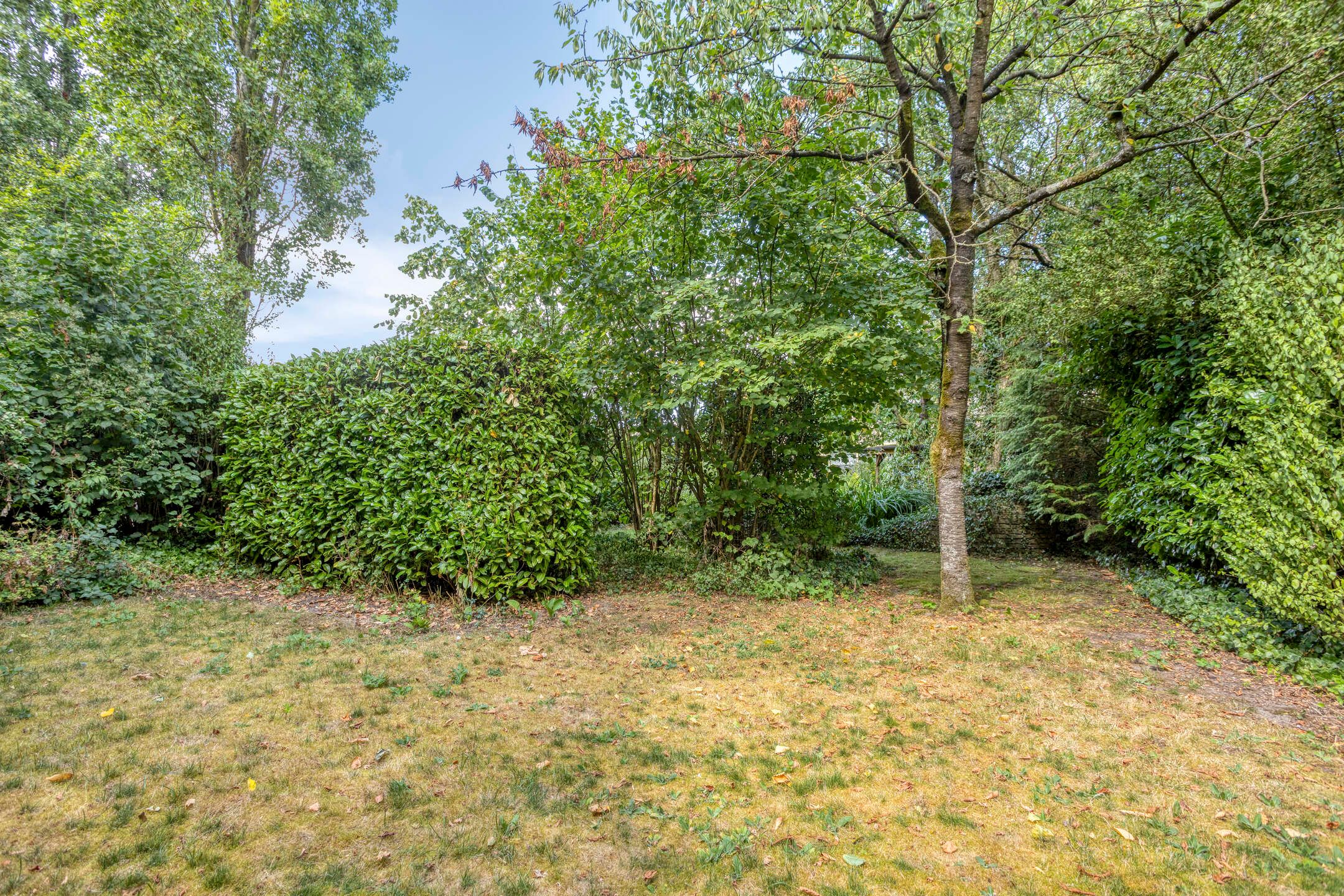 Foto 33 van Zwijnsbergen 5