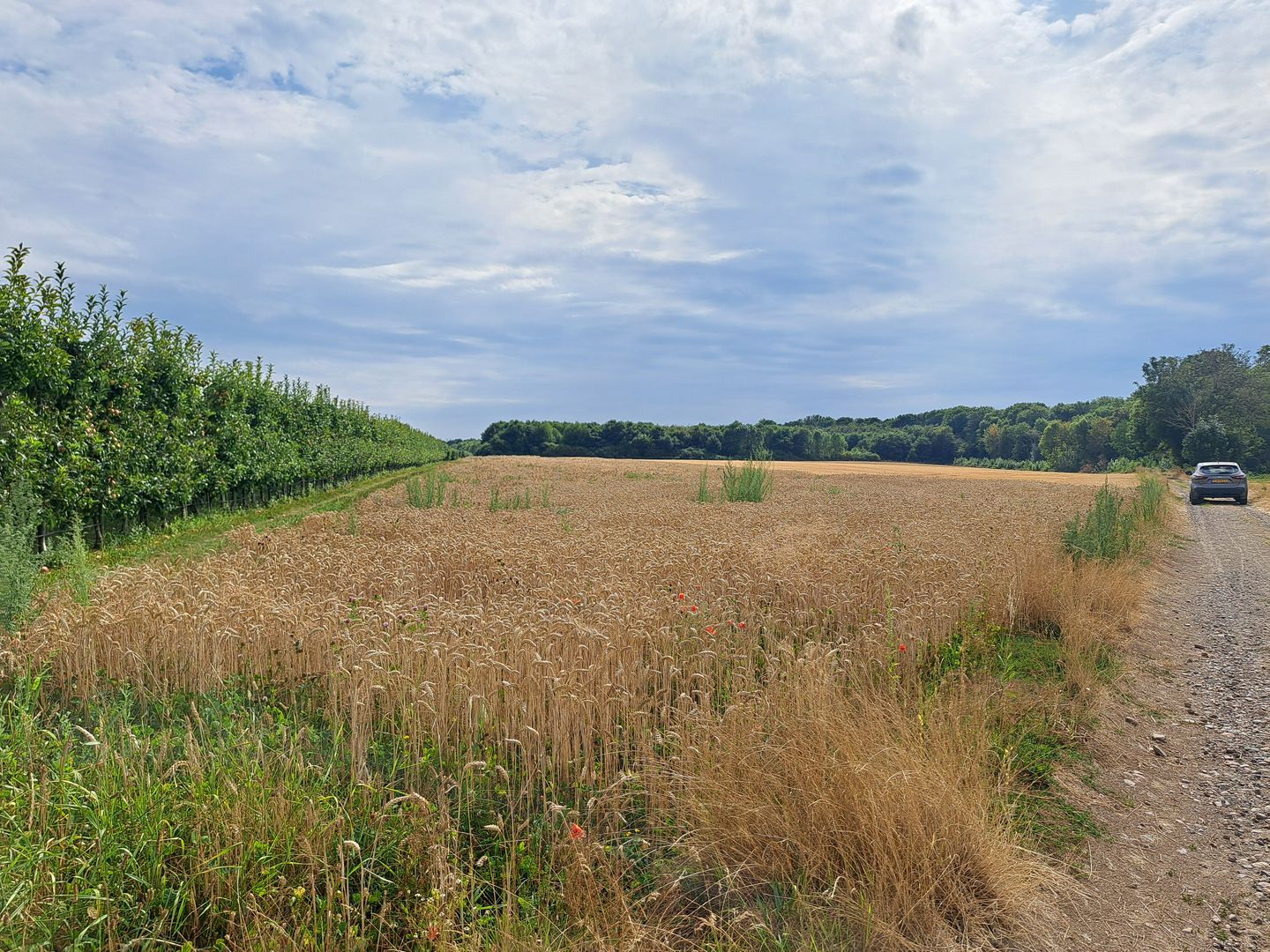 Bekijk foto 3 van Maarlanderweg