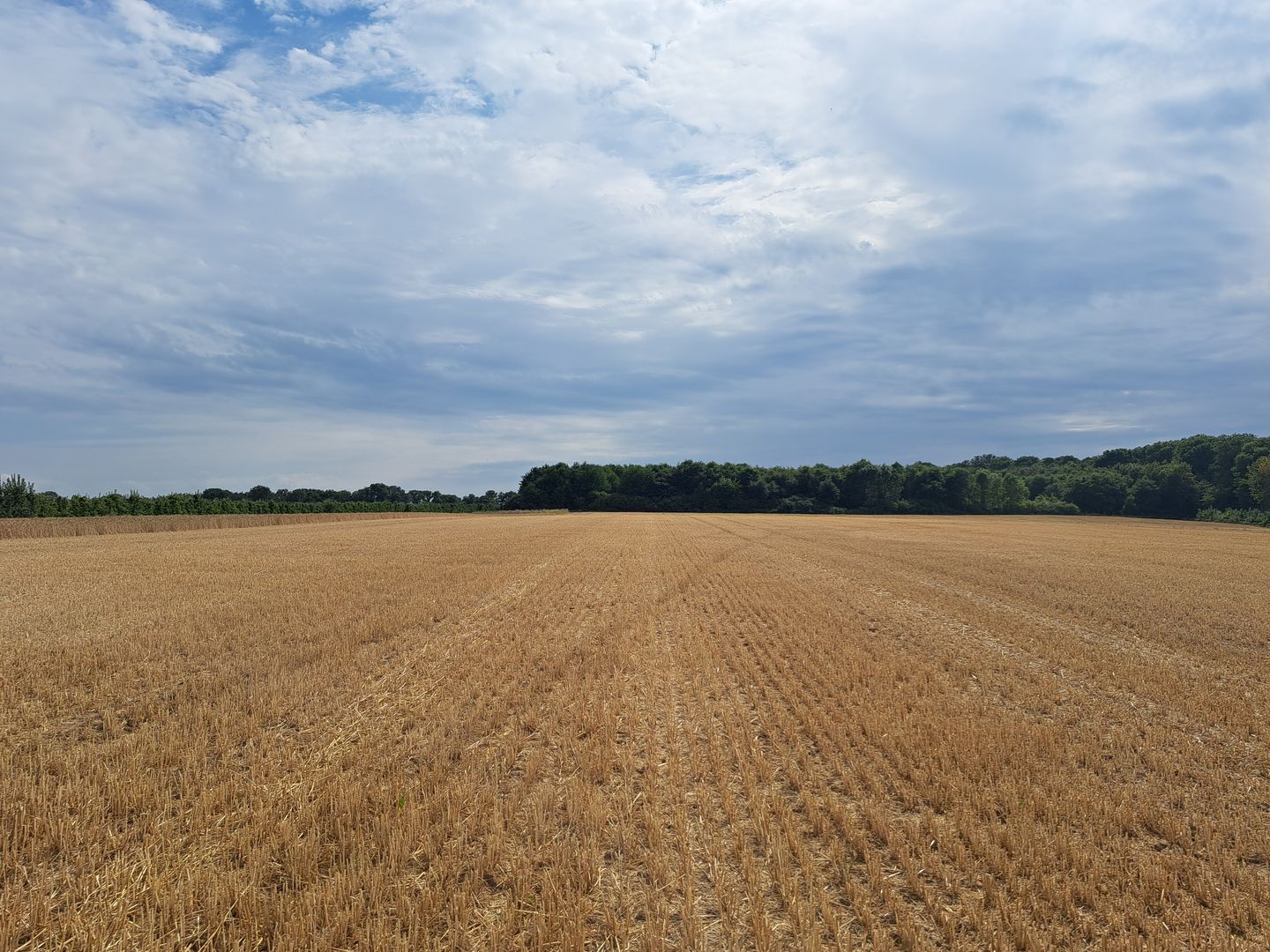 Bekijk foto 4 van Maarlanderweg