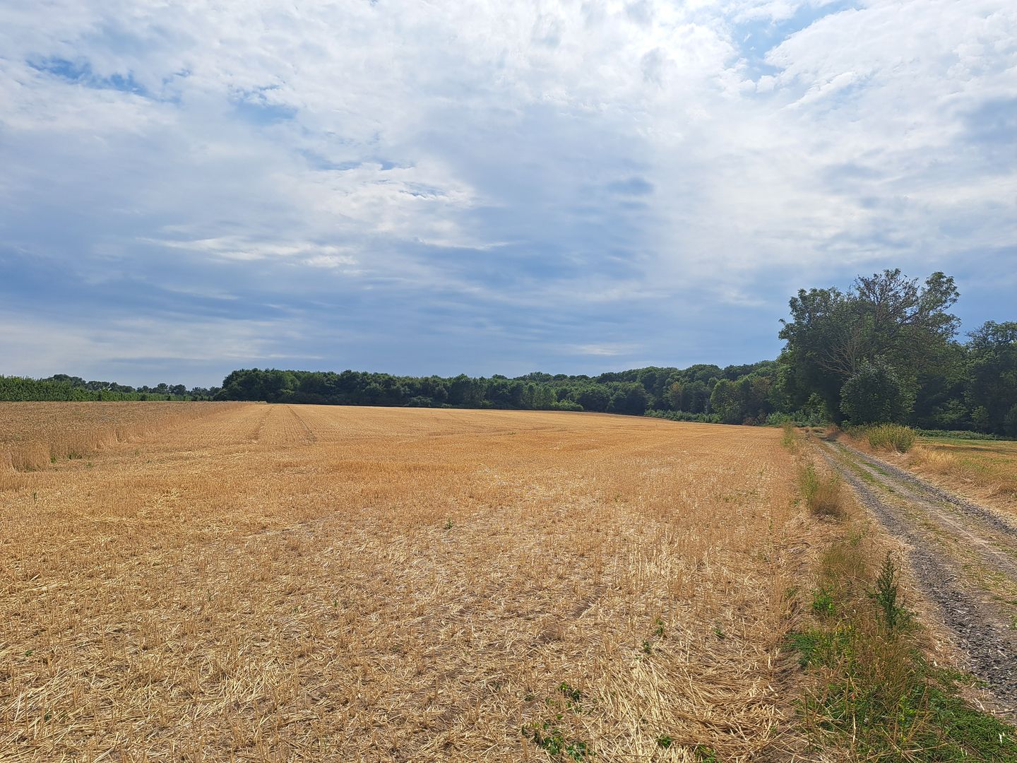 Bekijk foto 2 van Maarlanderweg