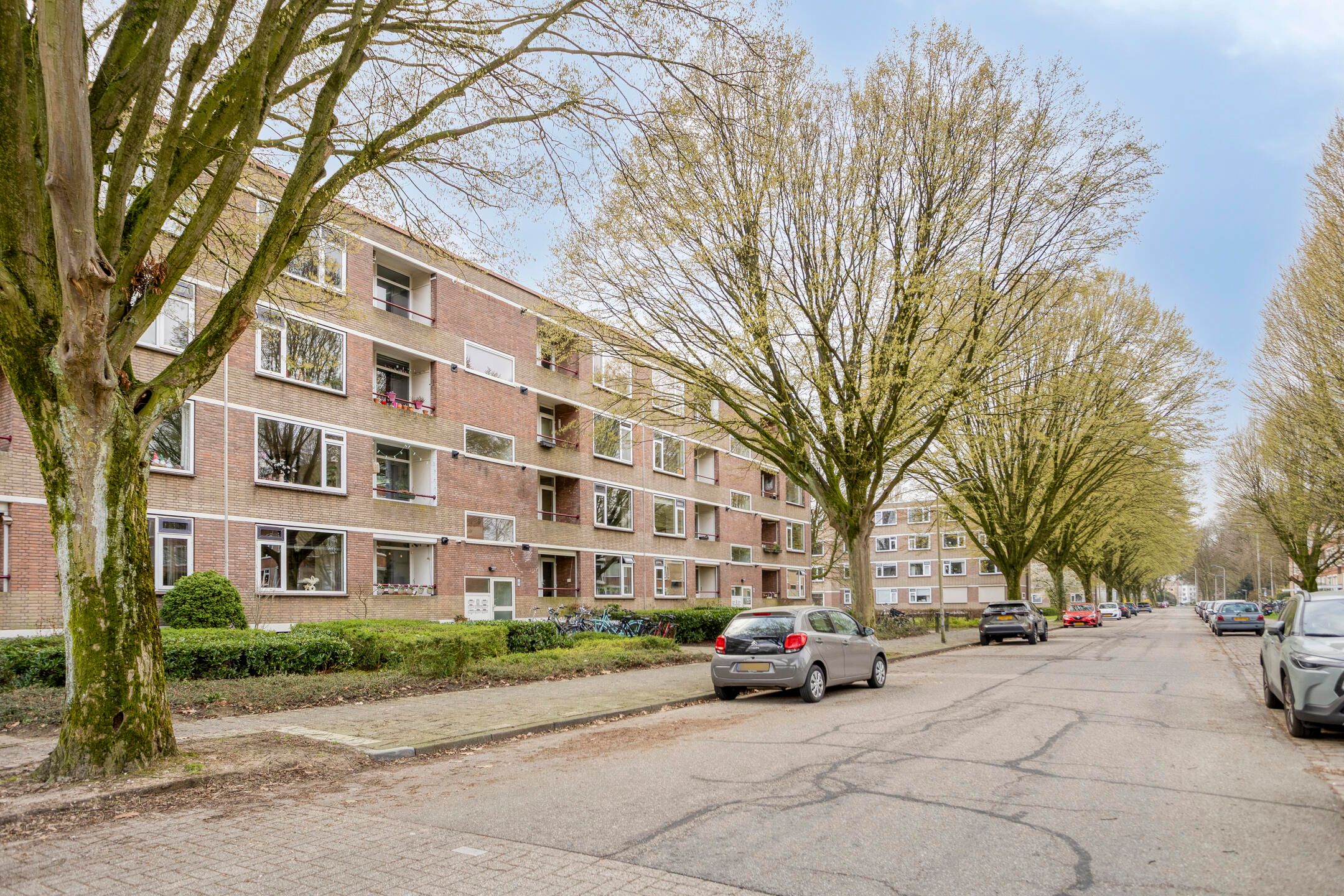 Photo 33 of Vossenlaan 329