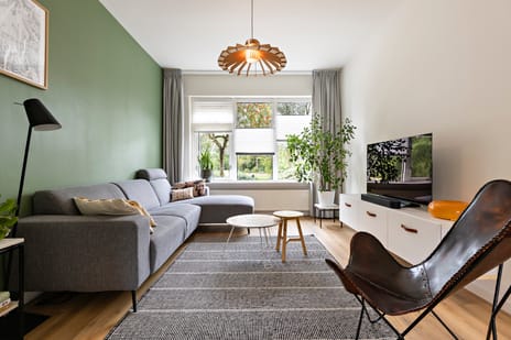 Adriaan van Ostadestraat thumbnail
