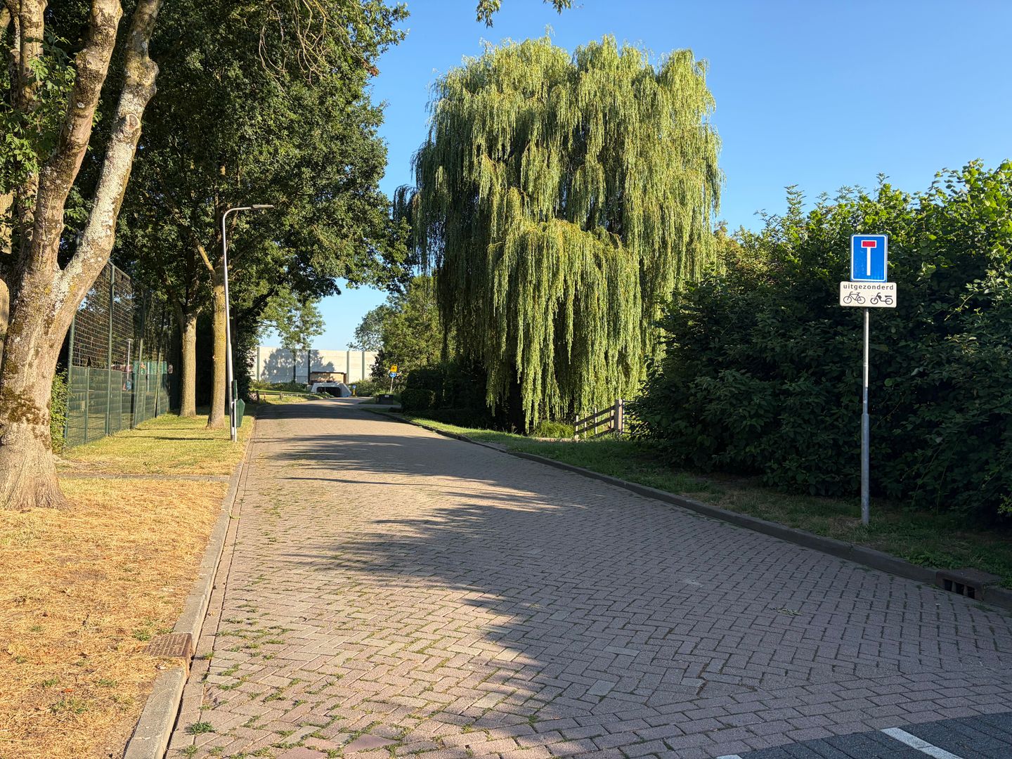 Foto 10 van Prinses Marijkeweg
