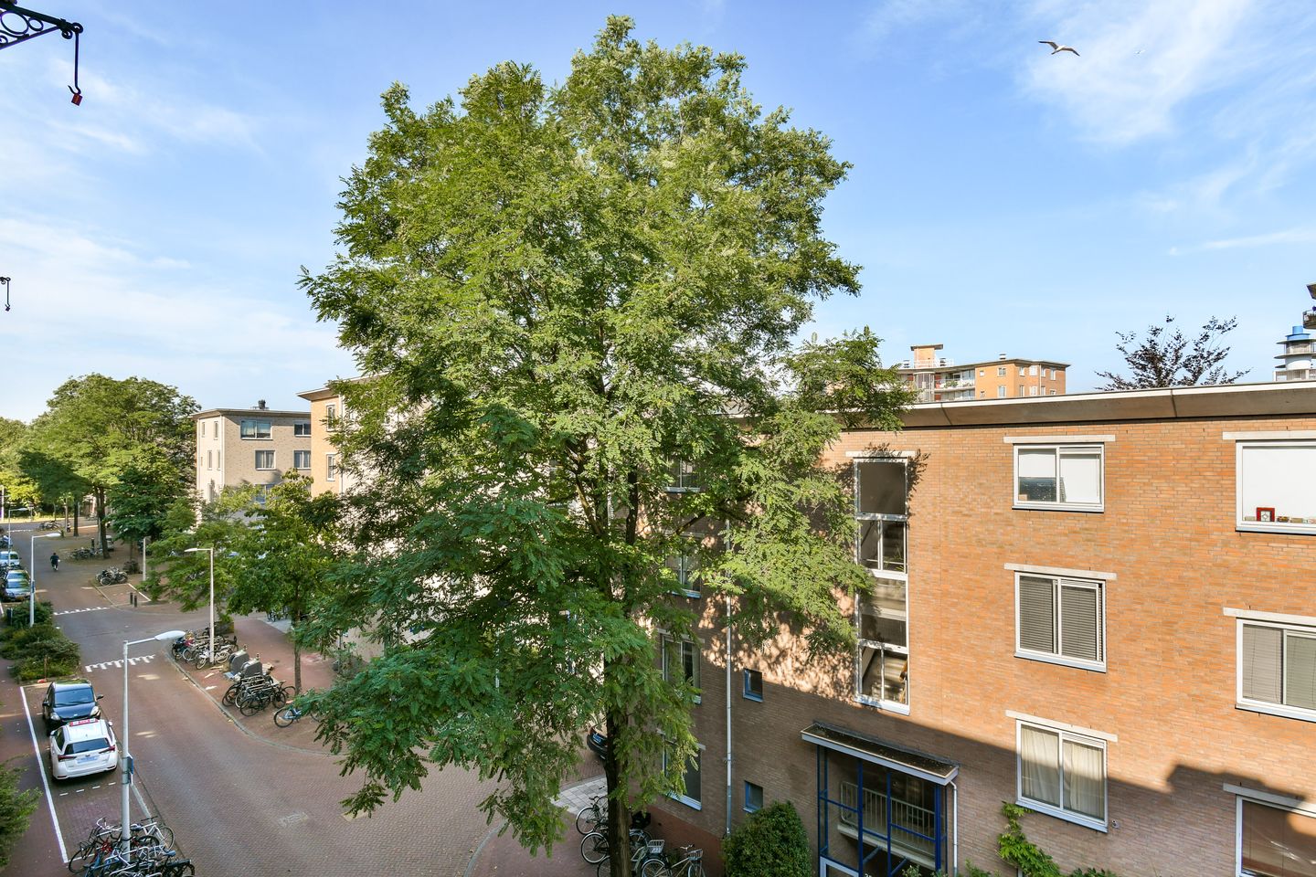 Foto 14 van Van Reigersbergenstraat 45-3