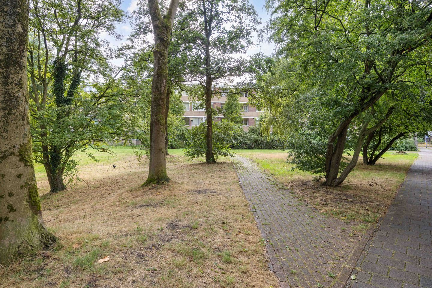 Foto 40 van Abeelstraat 93