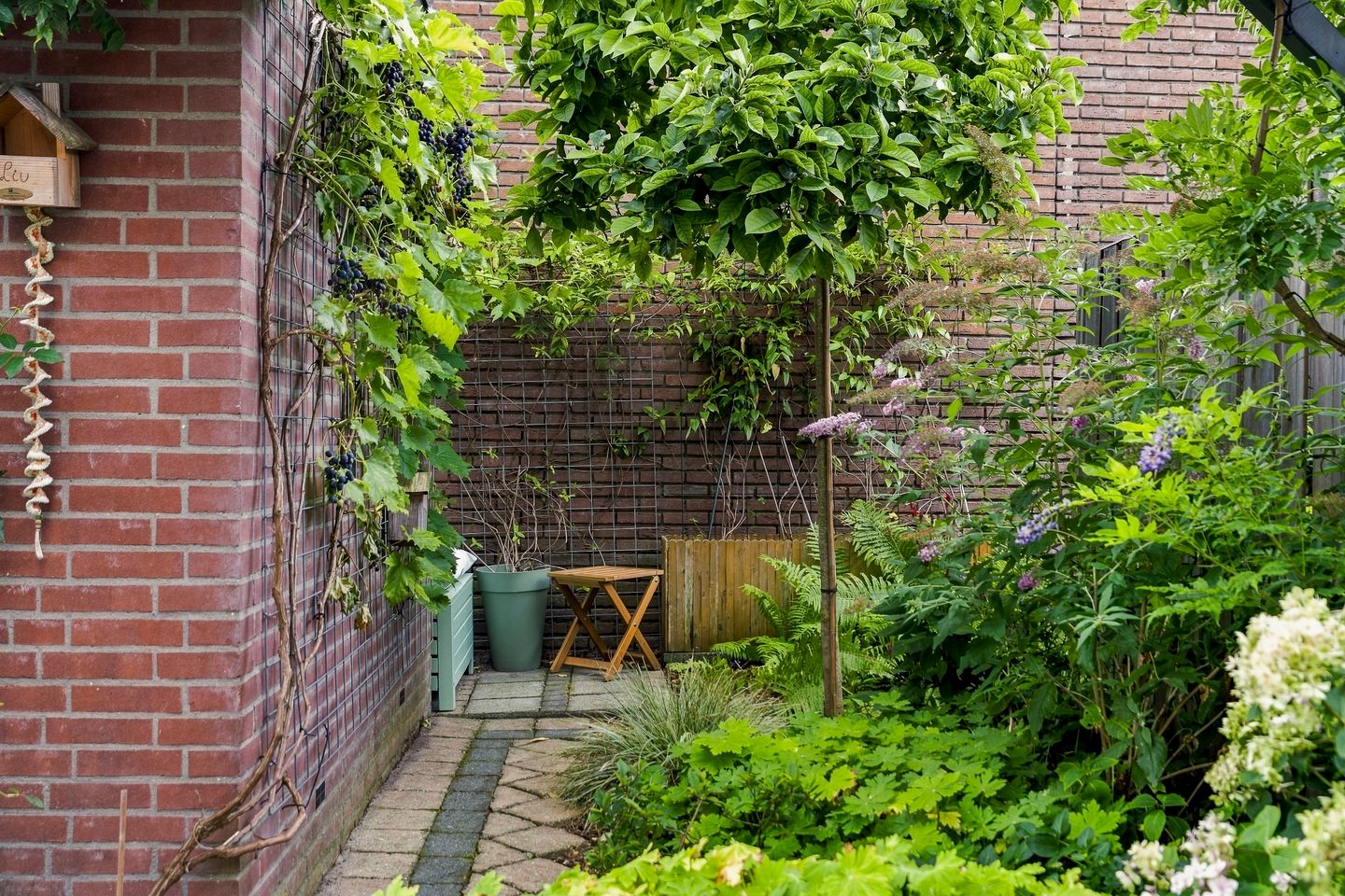 Photo 34 of De Eersteling 24