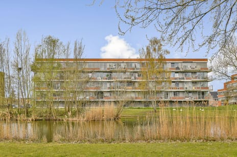 Johan de Wittstraat thumbnail