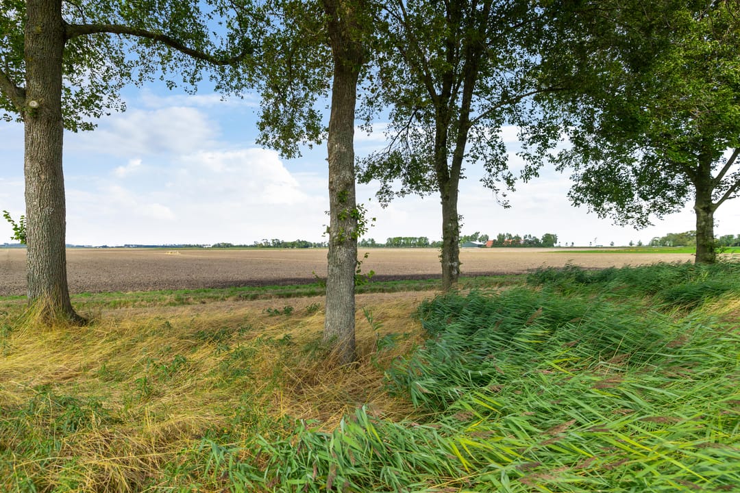Photo 86 of Binnen A.E. 10