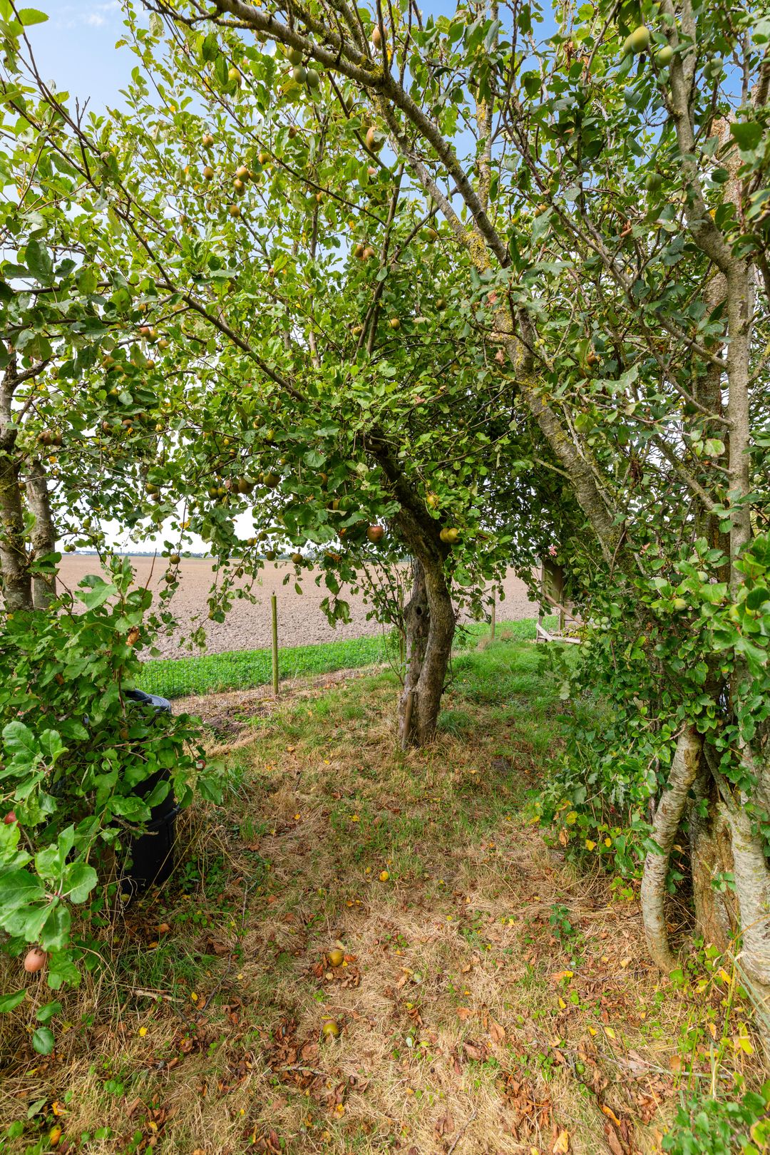 Photo 58 of Binnen A.E. 10