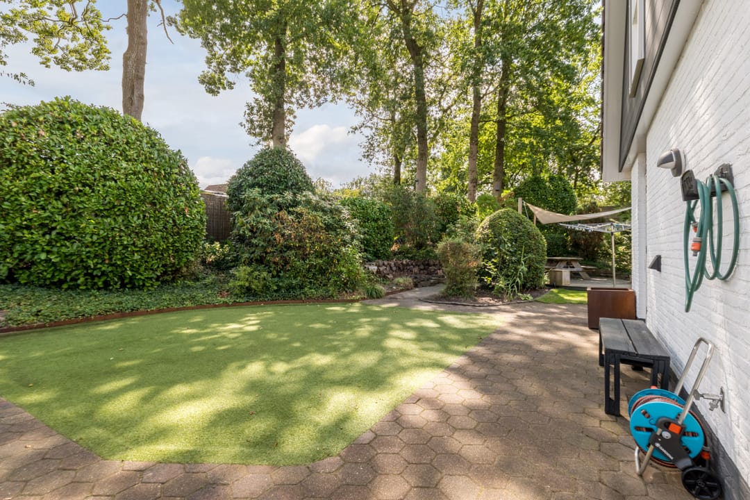 Photo 38 of Elias Prieshof 15