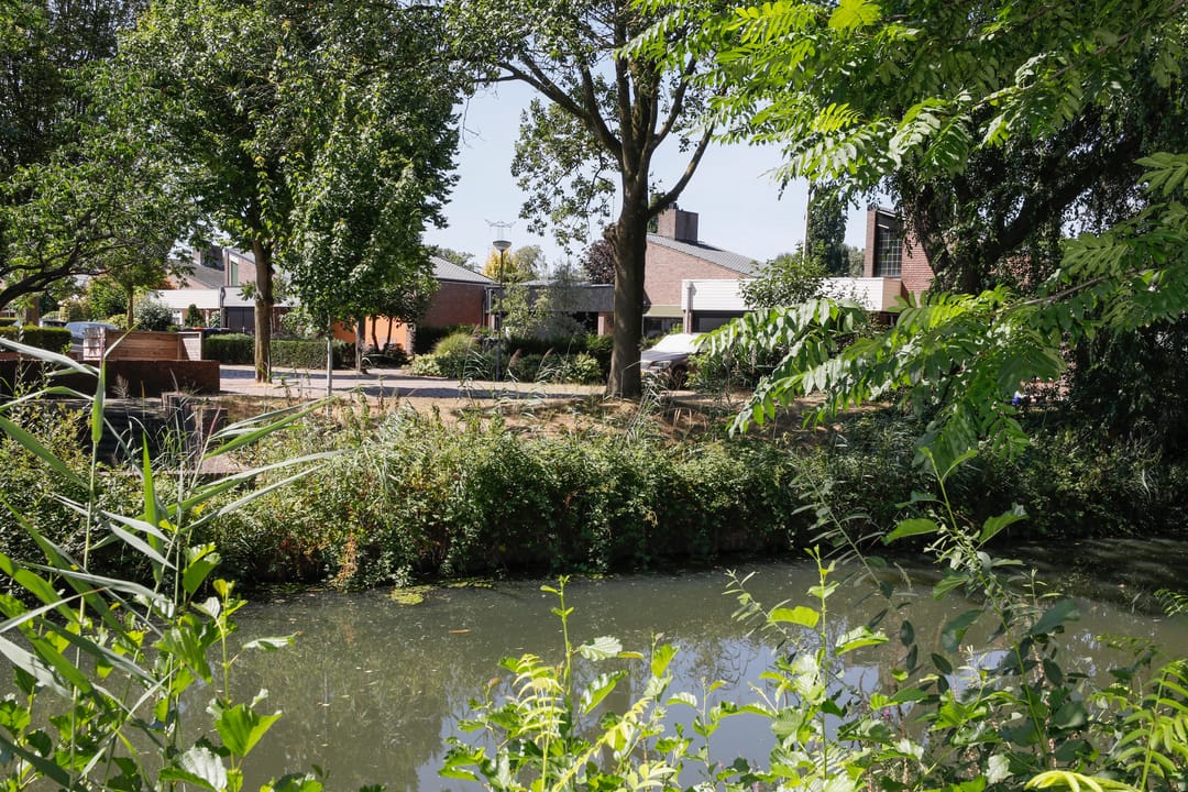 Foto 41 van Zesde Herven 14