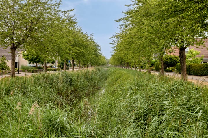 Photo 4 of Chopinlaan 20