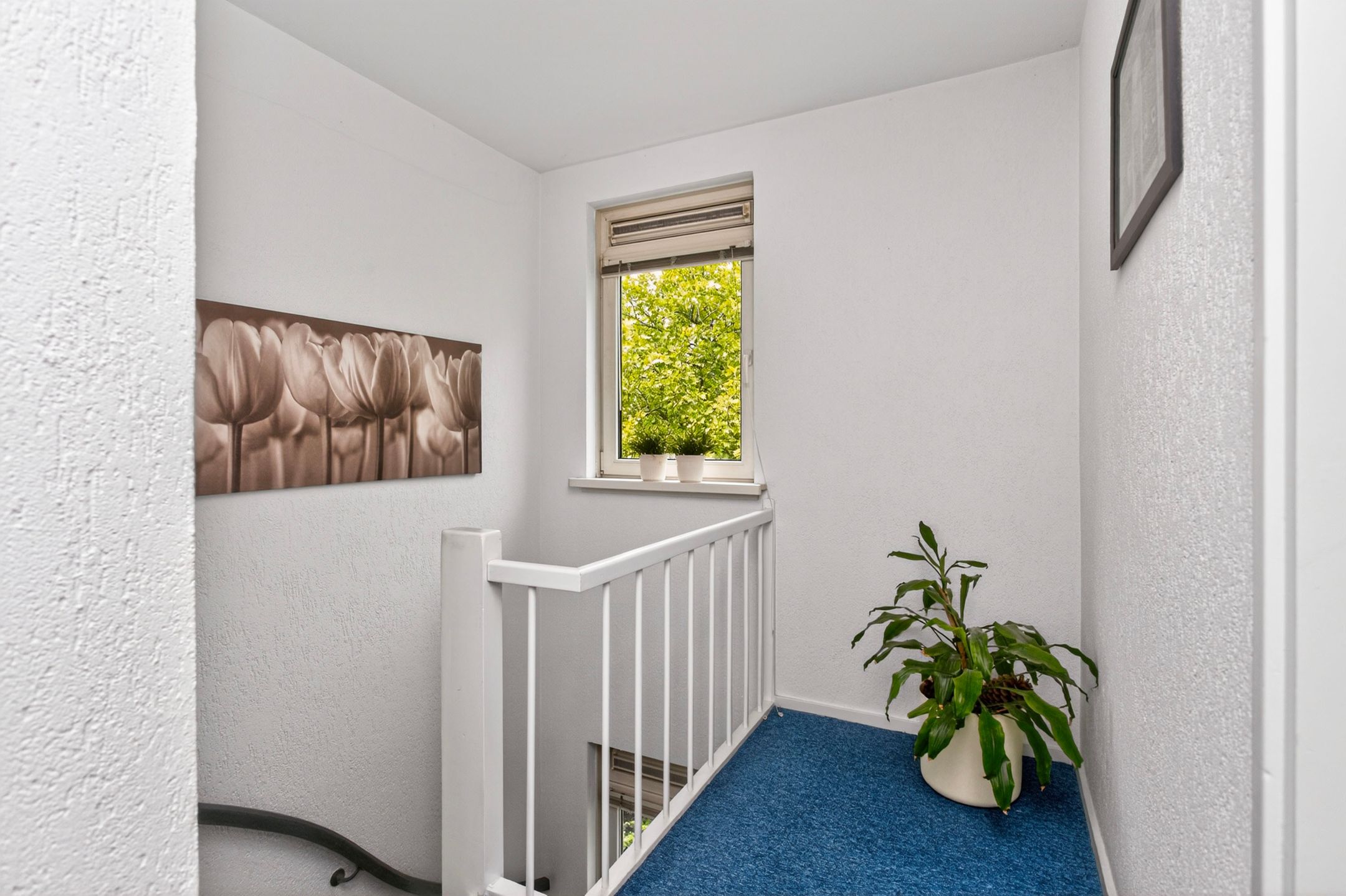 Photo 33 of Tigrisdreef 47