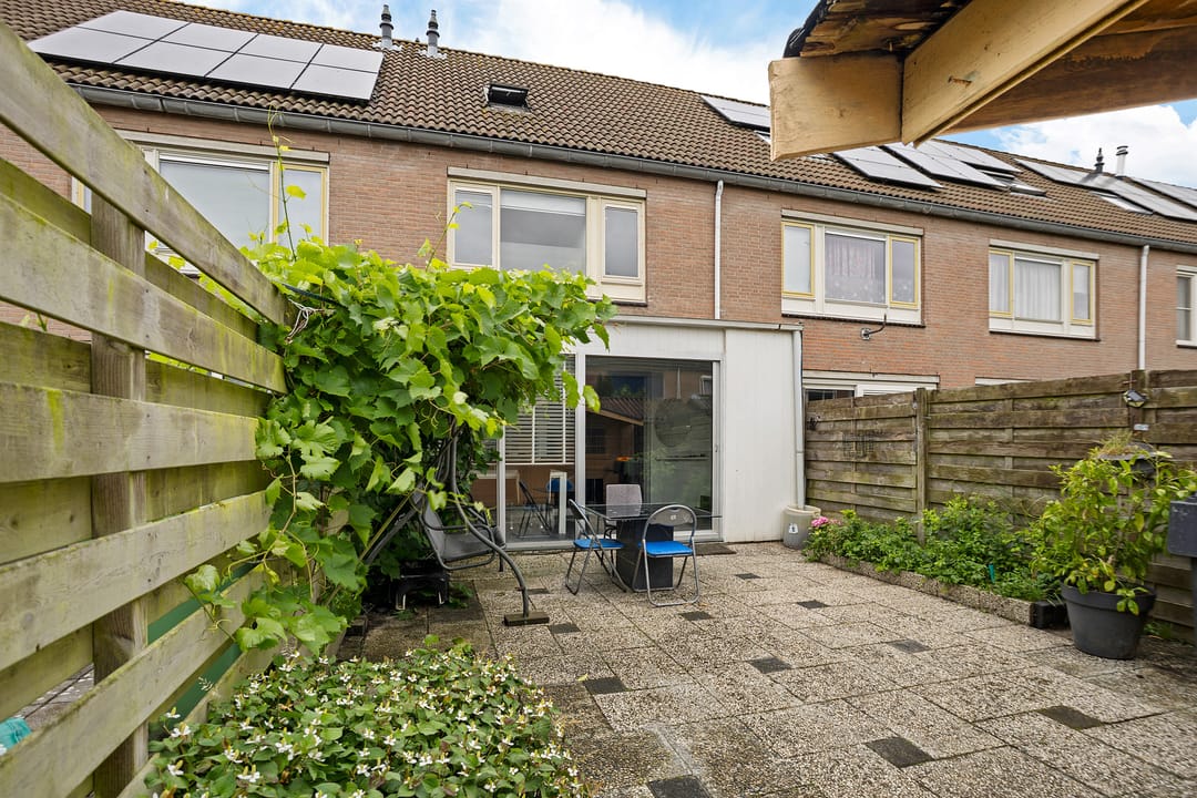 Photo 38 of Dommel 22