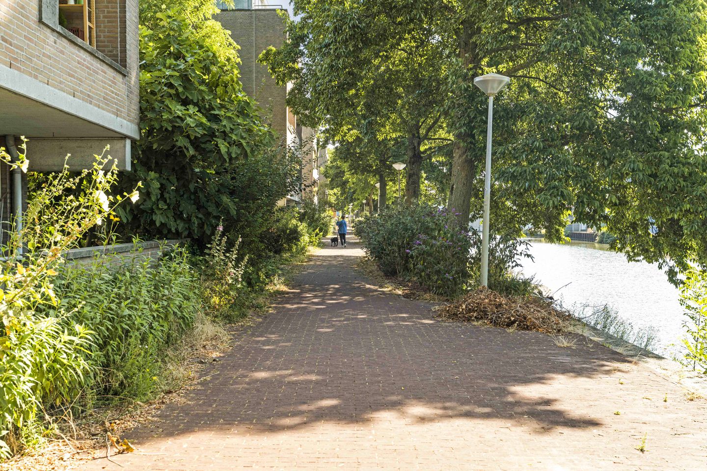 Photo 40 of Dick Greinerstraat 22