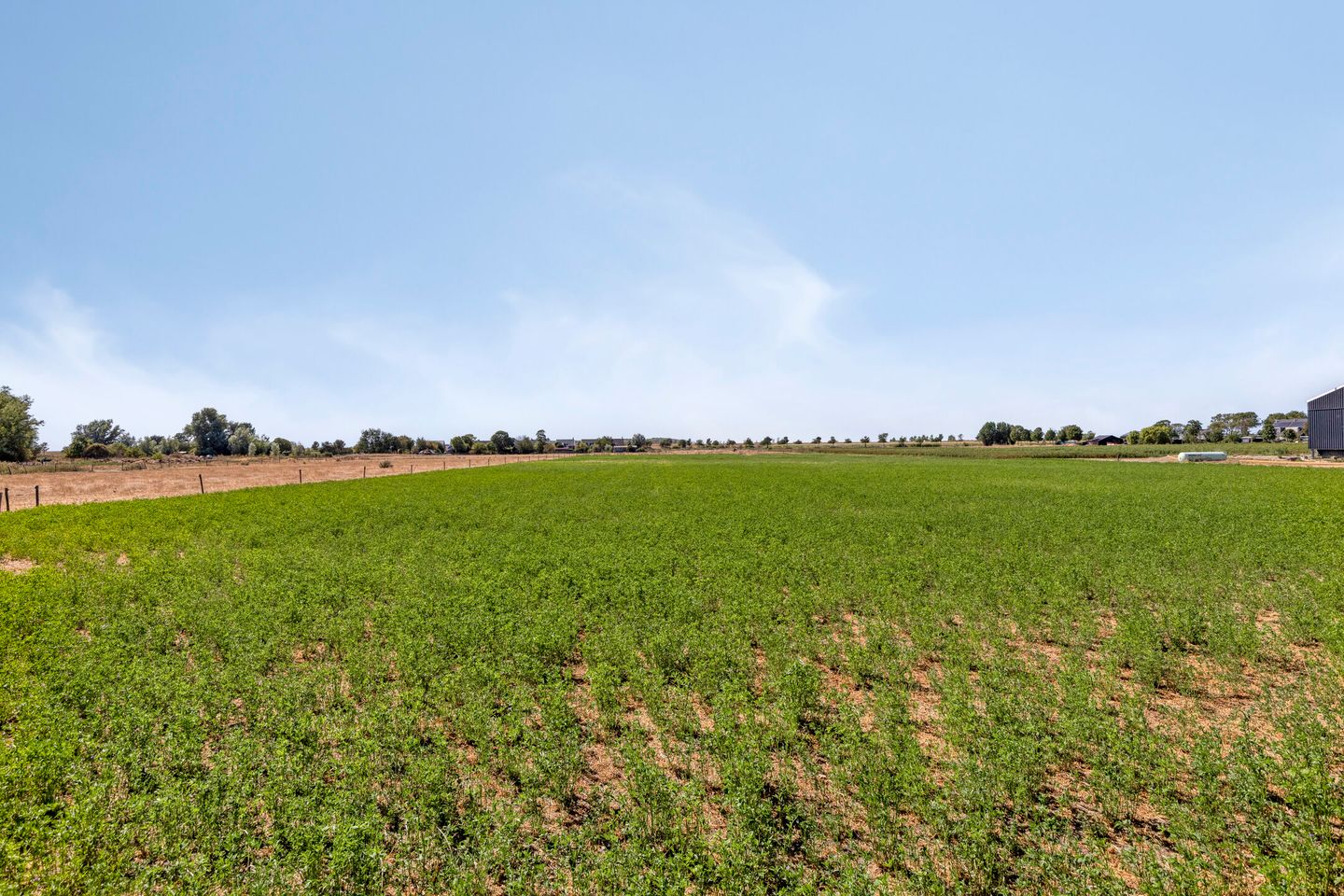 Photo 40 of Donkereweg 12