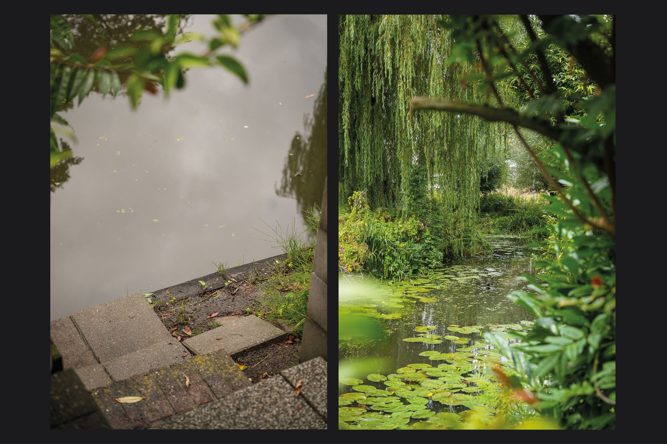 Photo 30 of De Brink 6