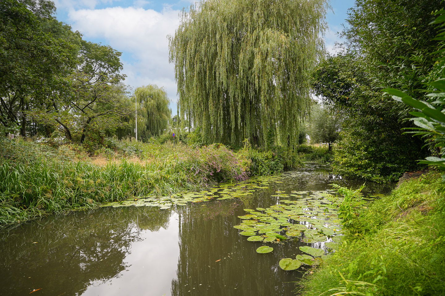 Photo 29 of De Brink 6