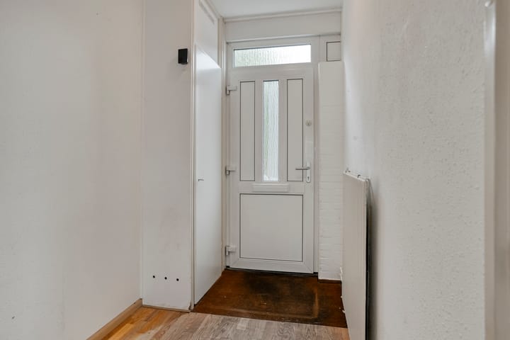 Foto 4 van Maagdepalm 80