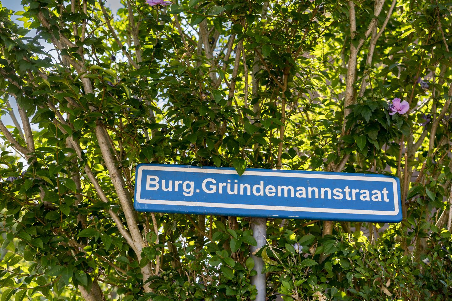 Photo 4 of Burgemeester Gründemannstraat 13