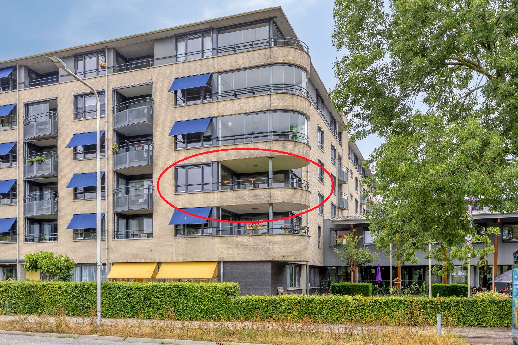 Zijpe 36 