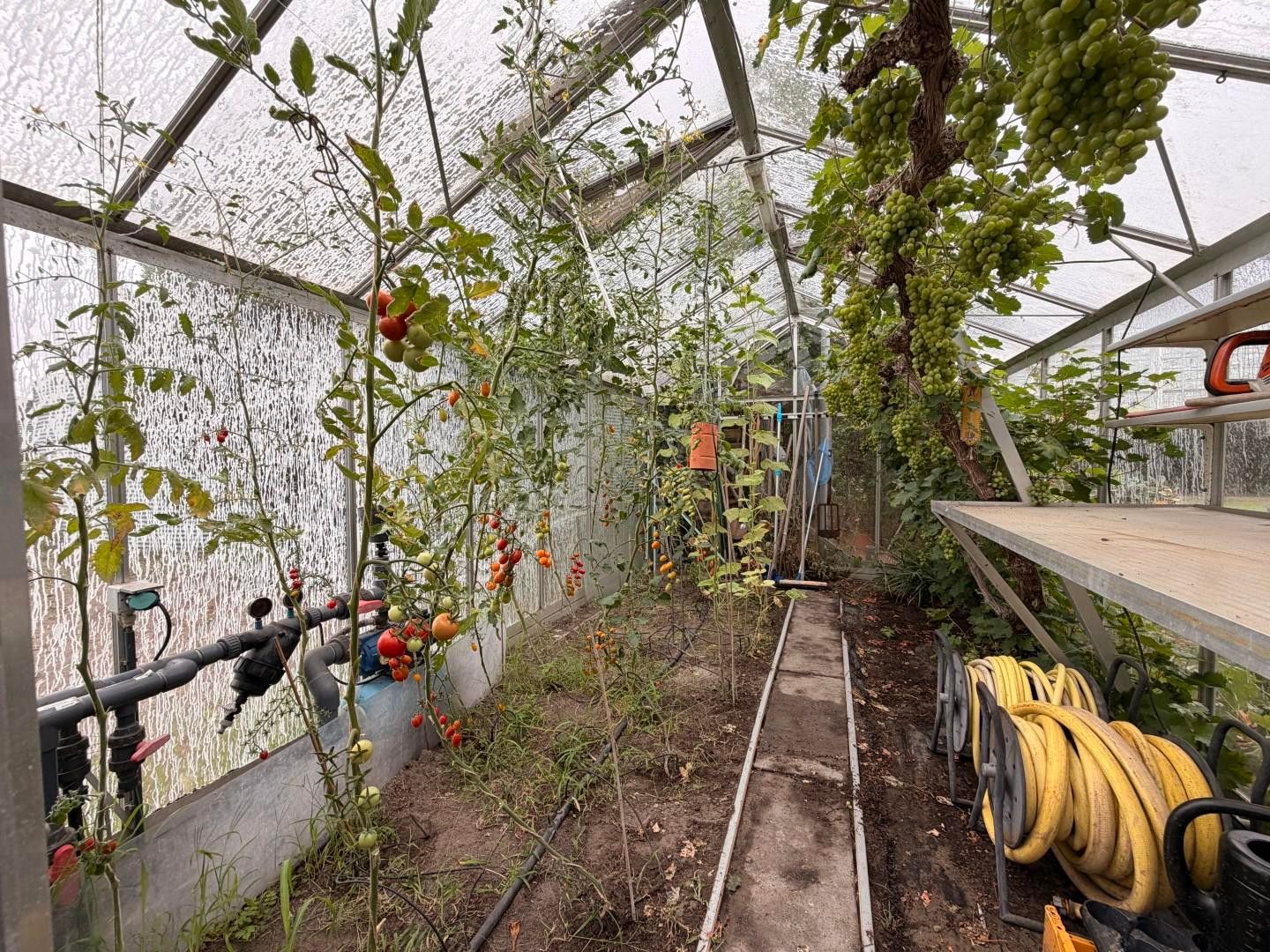 Foto 48 van Hoge Noordweg 14