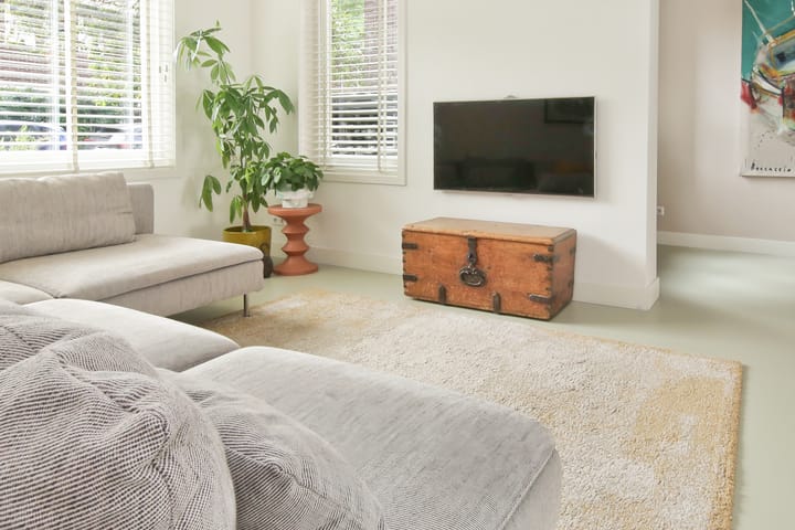Tussenwoning te koop: Van Raephorststraat 22, Haarlem