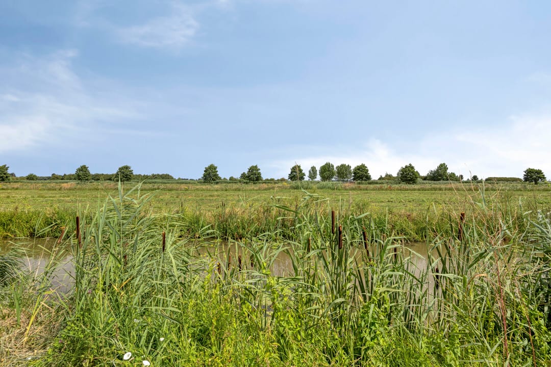 Foto 41 van Zilverschoon 27
