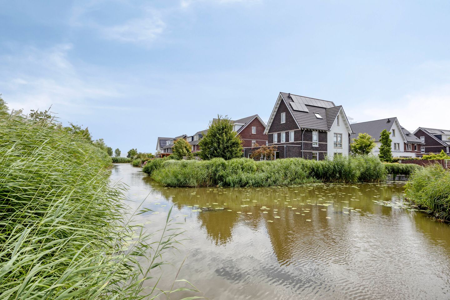 Foto 44 van Zilverschoon 27