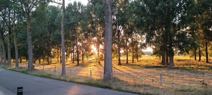Foto 4 van Oeveren 26