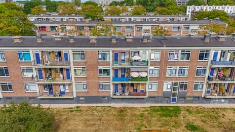 Koekangestraat thumbnail