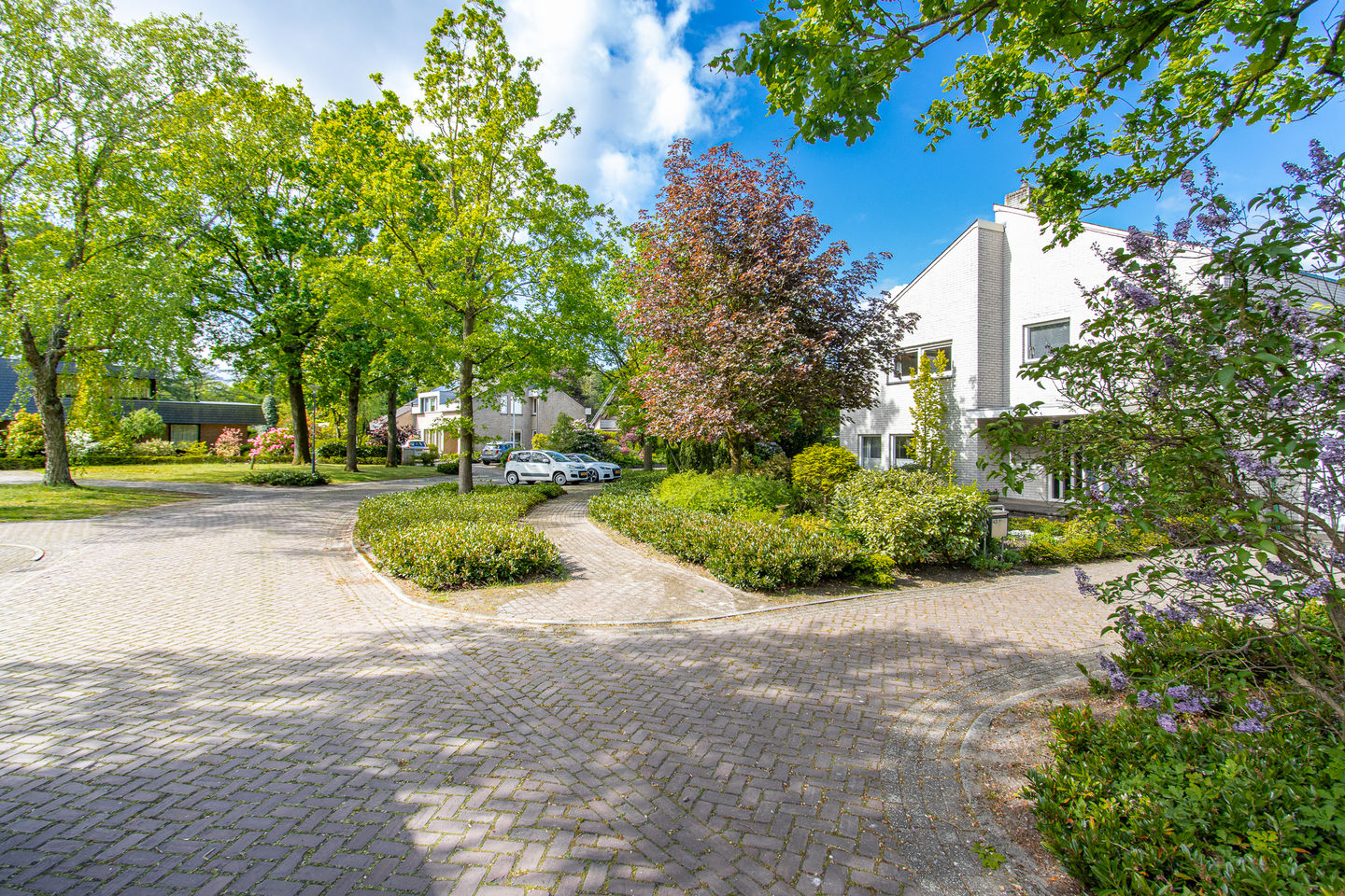 Foto 44 van Maasland 43