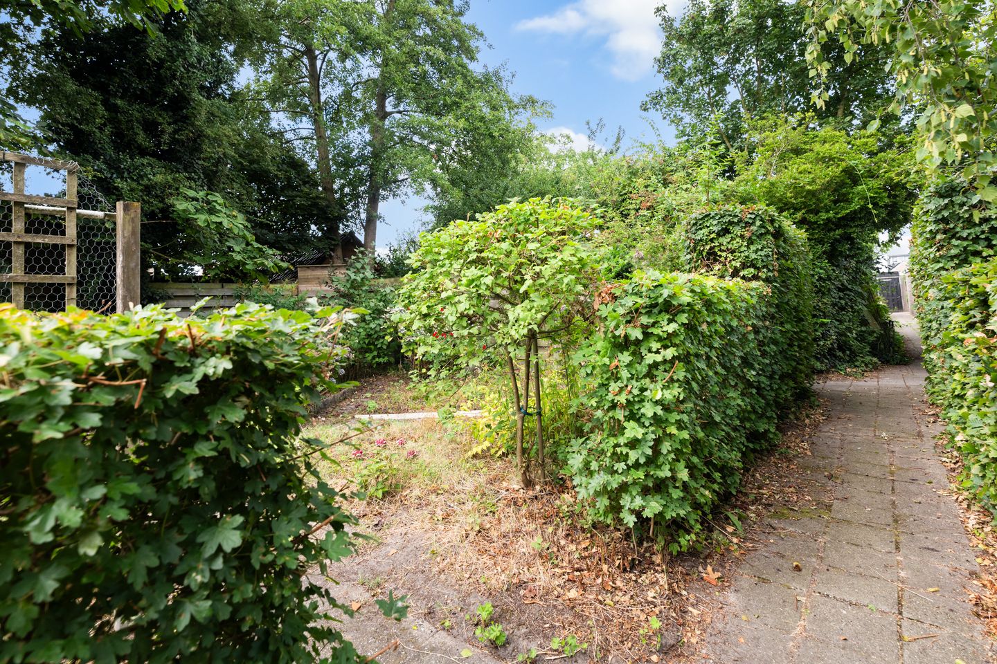 Foto 44 van Vermeerlaan 21