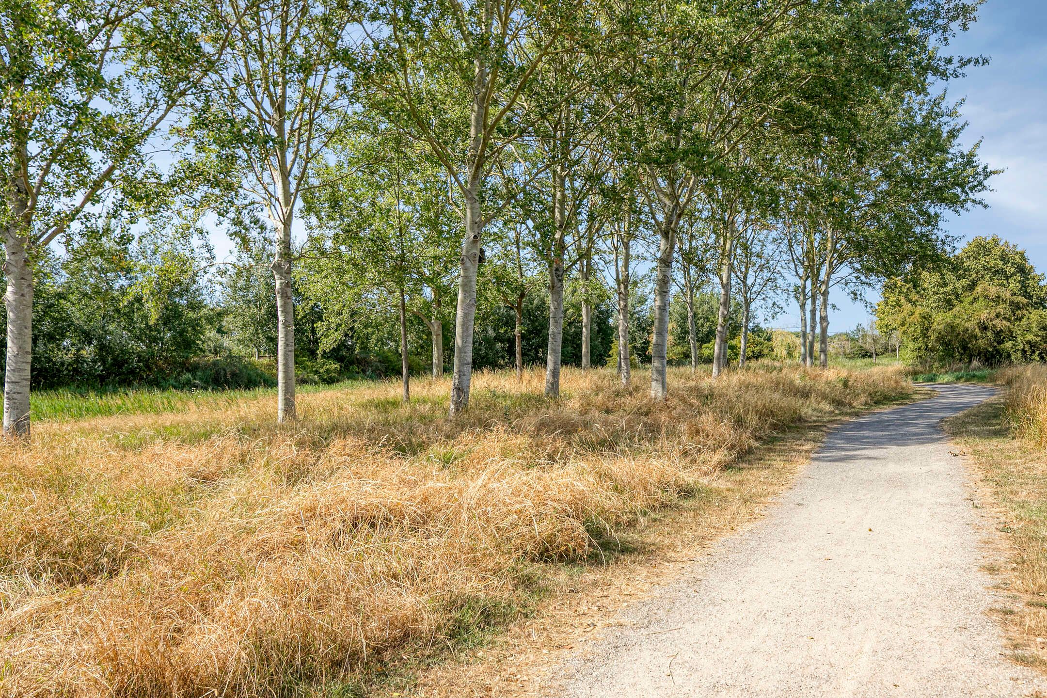 Photo 54 of Oude Vlissingseweg 37