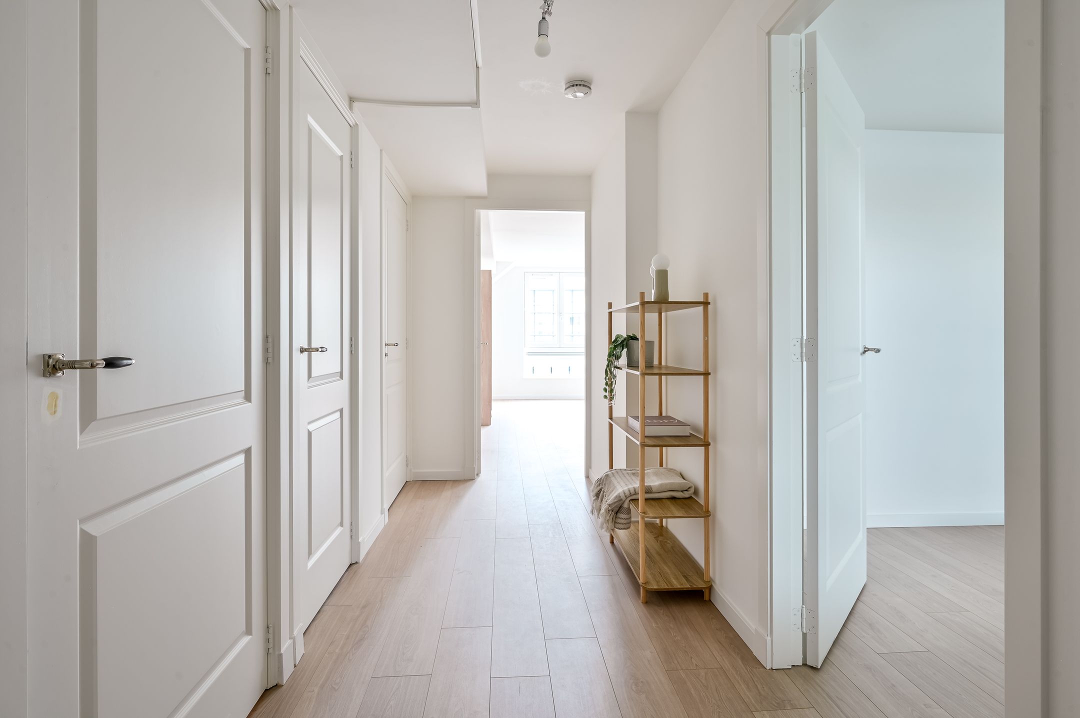 Photo 21 of Reaalhof 18