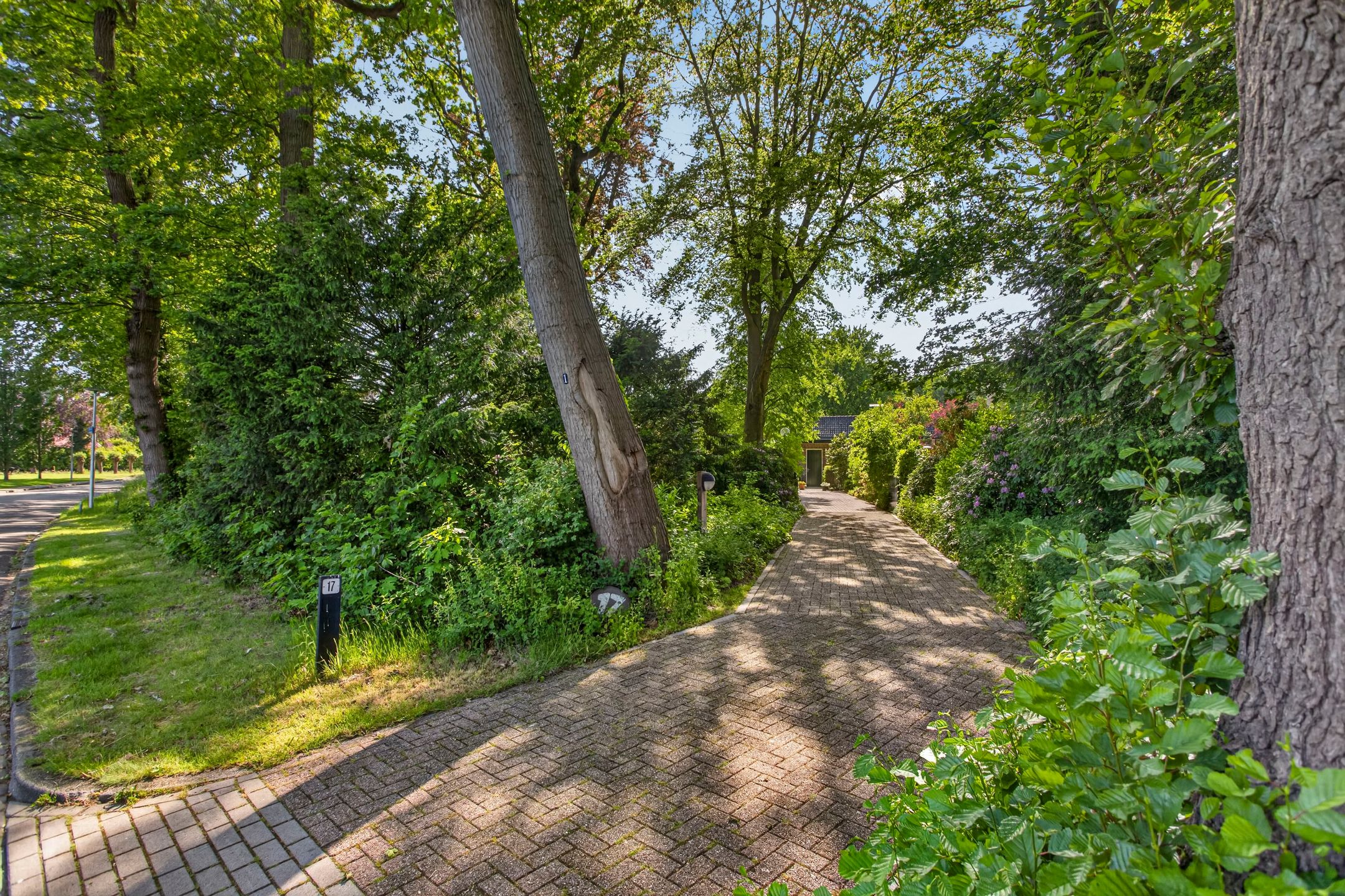 Photo 60 of de Wermerweg 17