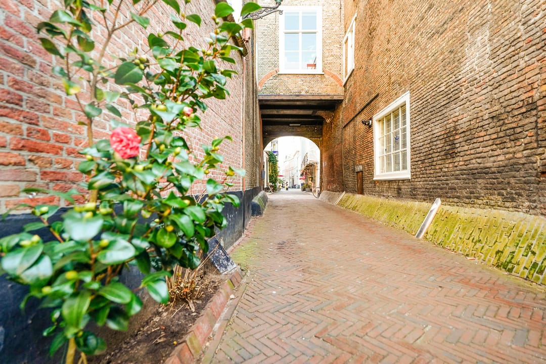 Photo 38 of Molenstraat 21-B
