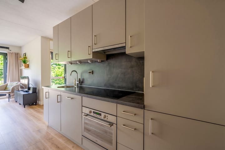 Foto 3 van Ina Boudier-Bakkerlaan 18-L