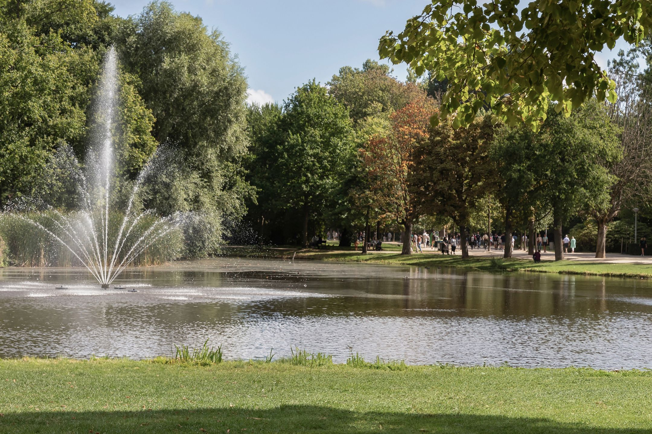 Photo 24 of Pieter Cornelisz. Hooftstraat 156-2