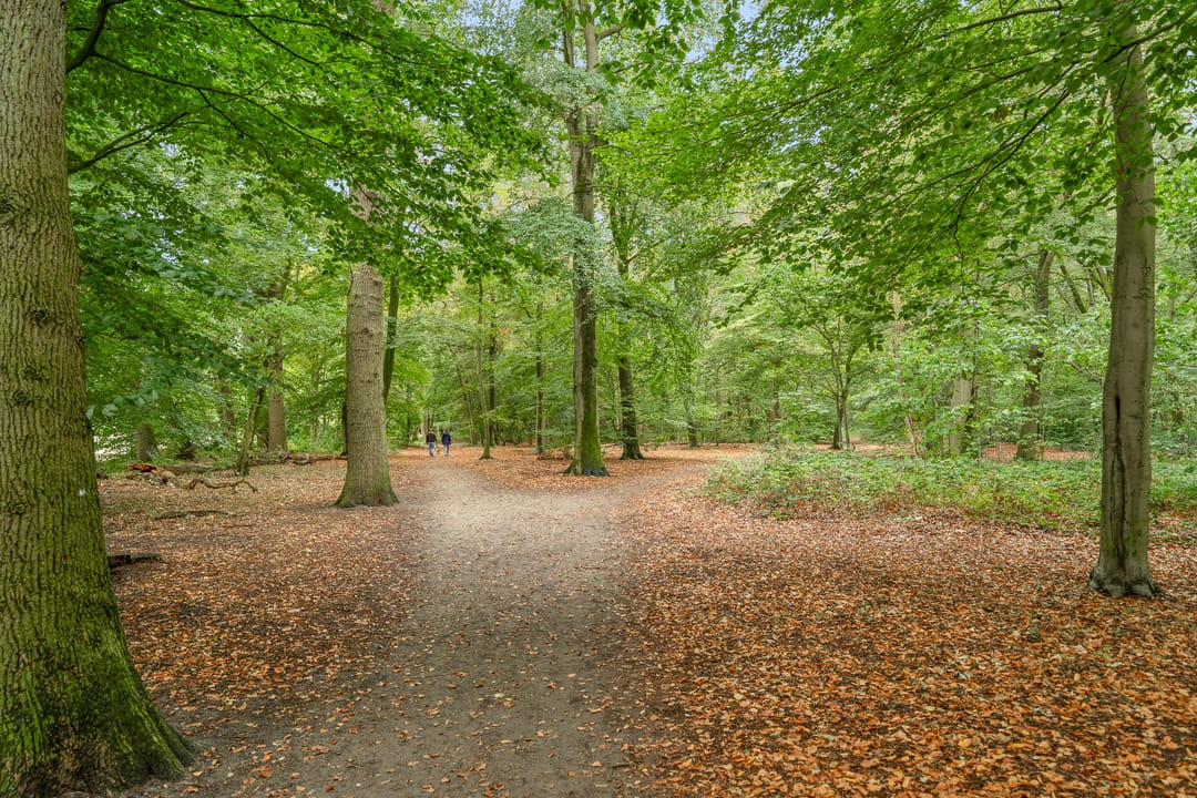 Photo 22 of Henrica van Erpweg 27