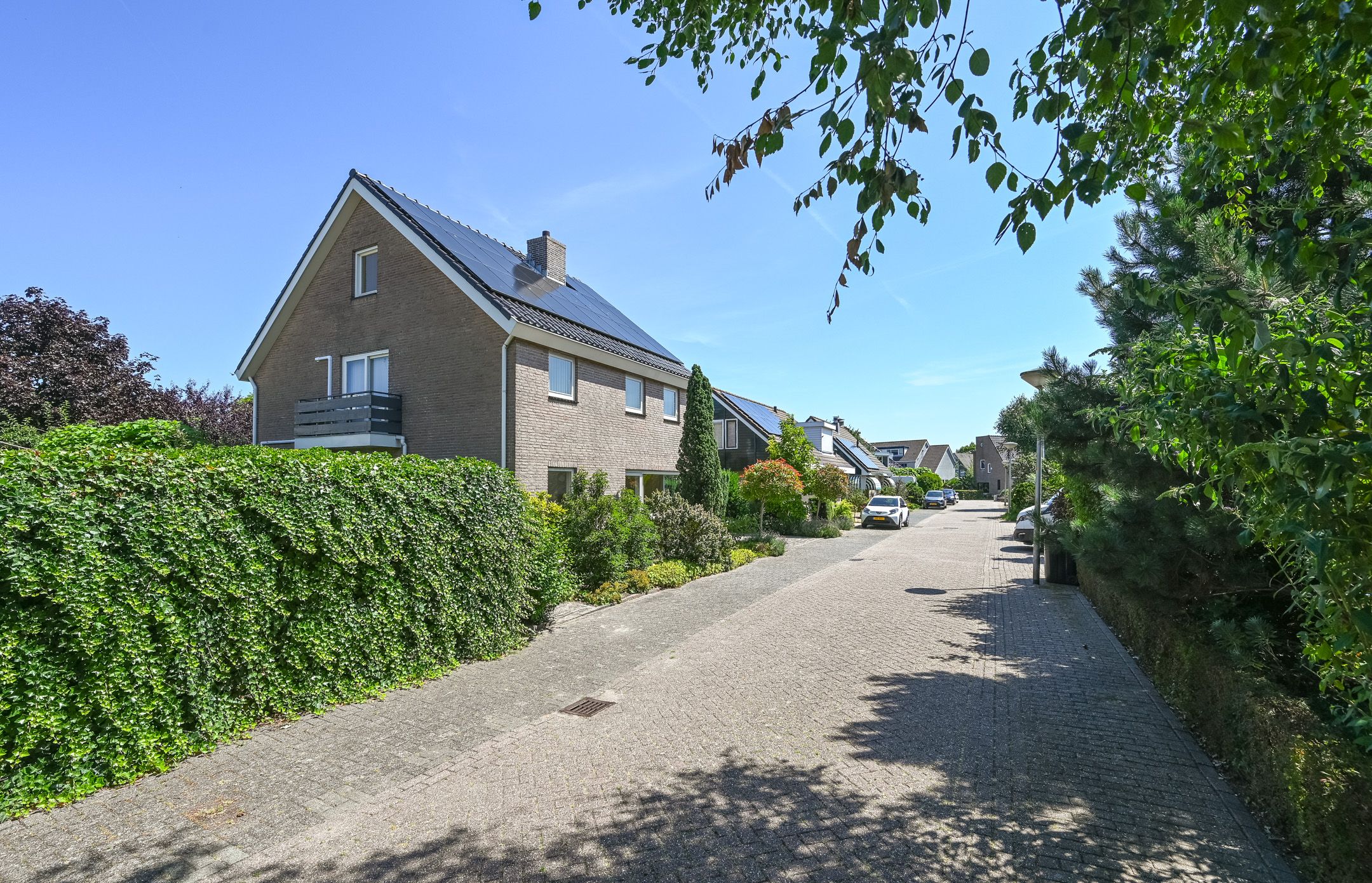Photo 3 of Ronde Zonnedauw 13