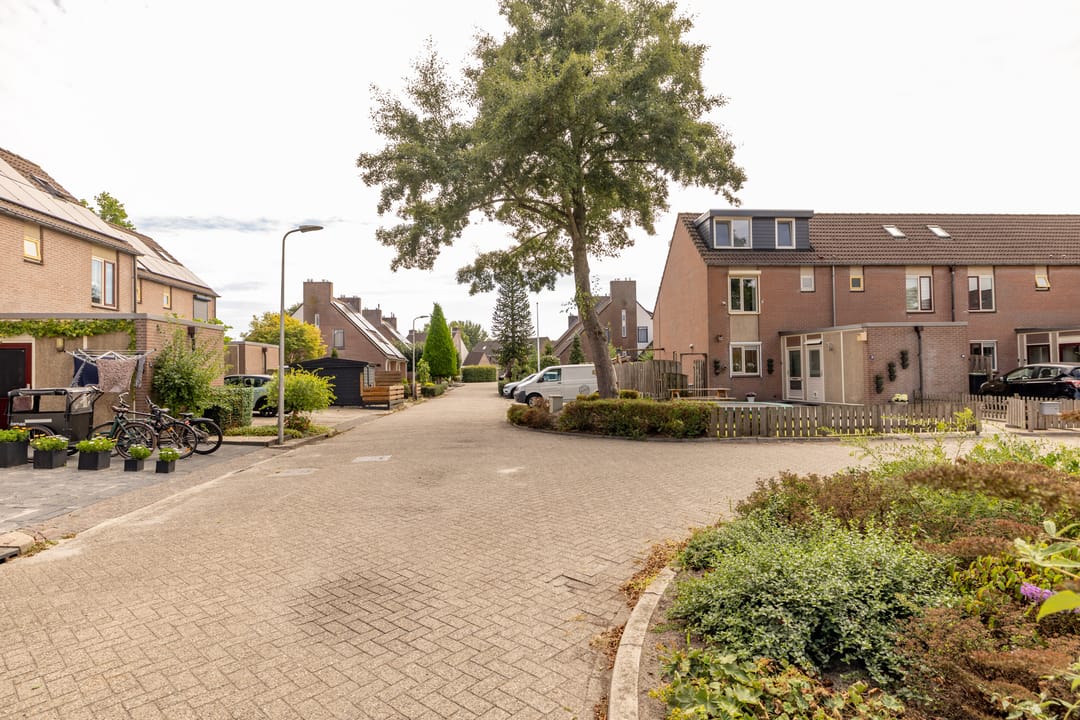 Foto 47 van De Plecht 42