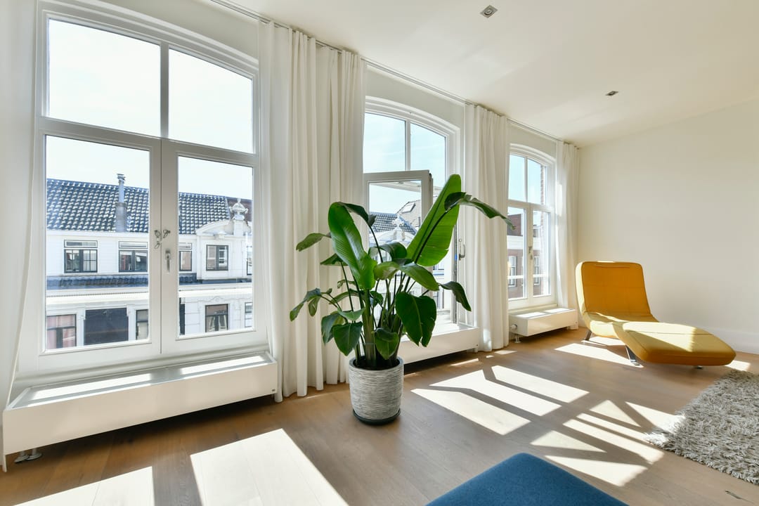 Photo 16 of Pieter Cornelisz. Hooftstraat 156-3